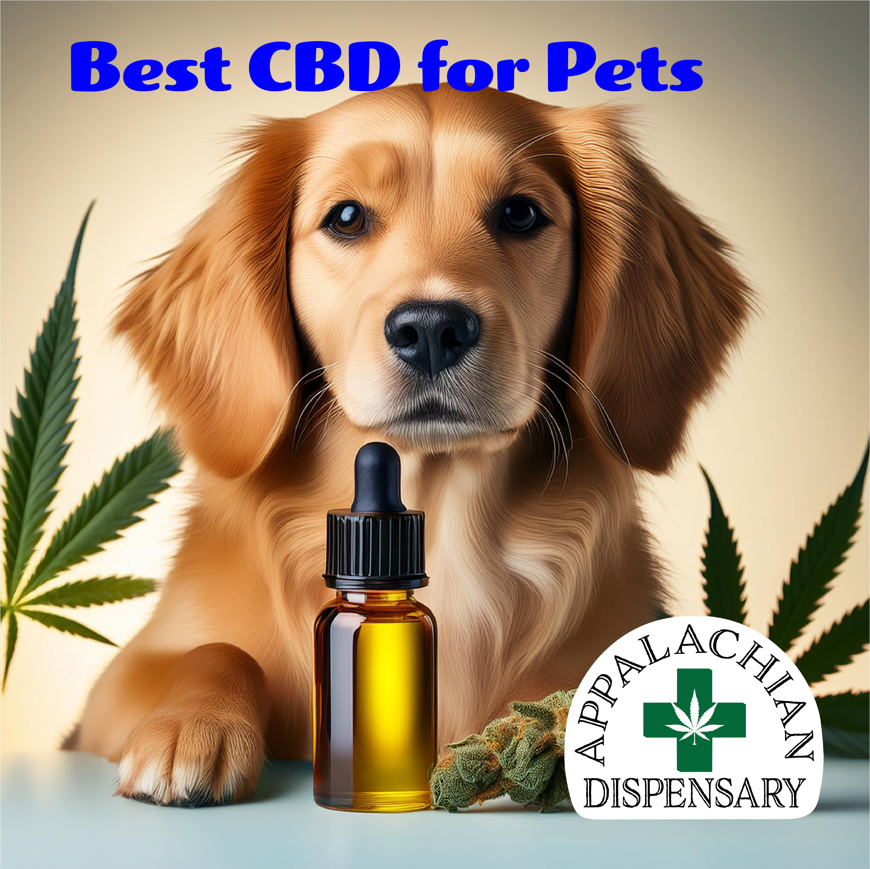 CBD for Pets