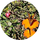 Appalachian Dispensary