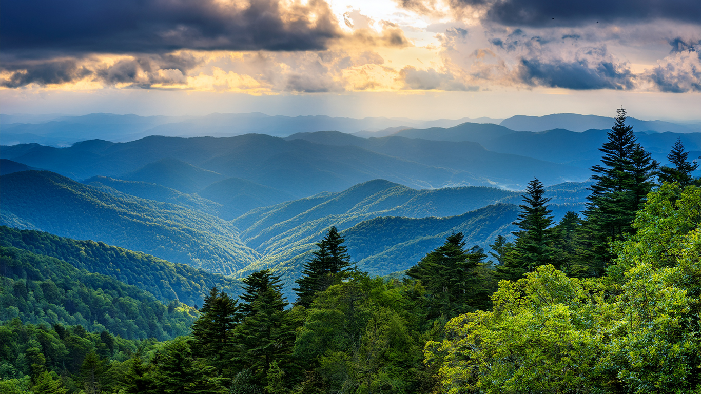 Appalachian Dispensary